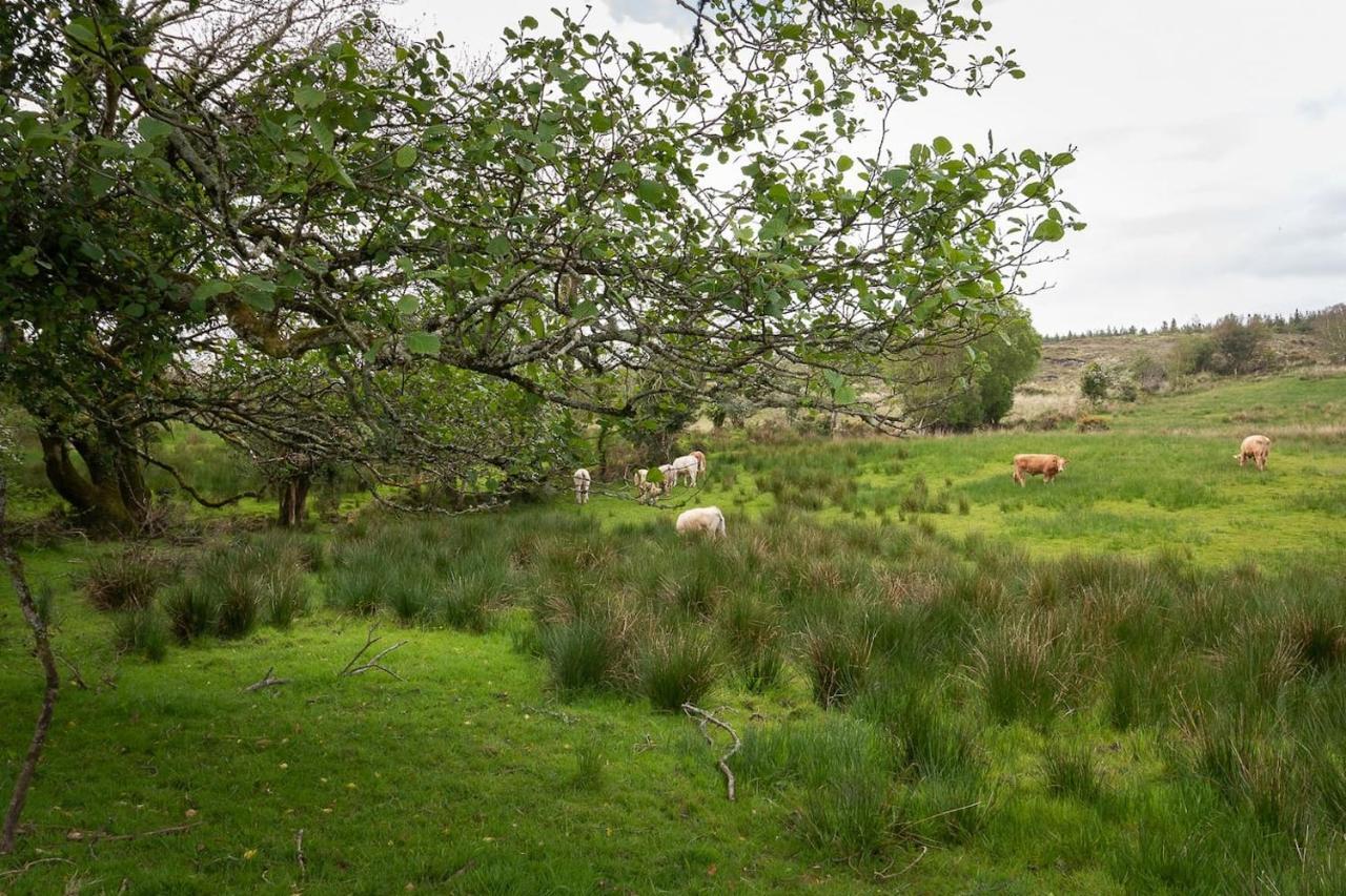 Bay View House Villa Kenmare Dış mekan fotoğraf